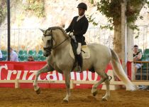 EMILIO ORDONEZ MONTANDO A TESORO DE TORRELUNA, SUBCAMPEON DEL CONCURSO